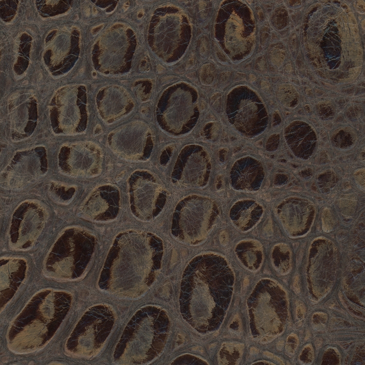 Designer Monster Croc Java